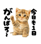 優しい水彩♡にゃんこ（個別スタンプ：18）