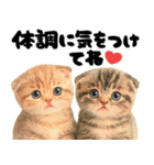 優しい水彩♡にゃんこ（個別スタンプ：22）