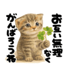 優しい水彩♡にゃんこ（個別スタンプ：26）