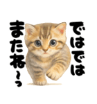 優しい水彩♡にゃんこ（個別スタンプ：29）