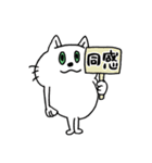 安定の日常スタンプ☆ねこ（個別スタンプ：12）