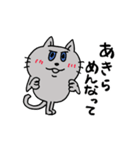 安定の日常スタンプ☆ねこ（個別スタンプ：13）
