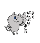 安定の日常スタンプ☆ねこ（個別スタンプ：16）