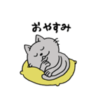 安定の日常スタンプ☆ねこ（個別スタンプ：40）