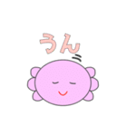 あぷくん ウーパールーパースタンプ2（個別スタンプ：5）