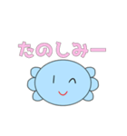 あぷくん ウーパールーパースタンプ2（個別スタンプ：27）
