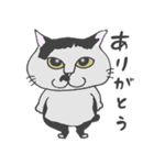 もっちゃんの物語（個別スタンプ：2）