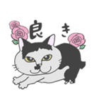 もっちゃんの物語（個別スタンプ：7）