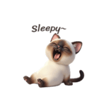 【英語】 シャム猫スタンプ 1（個別スタンプ：6）