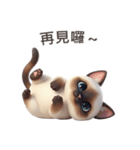 【繁體字】 シャム猫スタンプ 1（個別スタンプ：16）