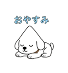 秋の四角いビションフリーゼ（個別スタンプ：4）