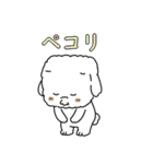 秋の四角いビションフリーゼ（個別スタンプ：5）
