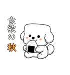 秋の四角いビションフリーゼ（個別スタンプ：6）