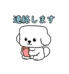 秋の四角いビションフリーゼ（個別スタンプ：14）