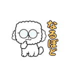 秋の四角いビションフリーゼ（個別スタンプ：21）
