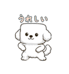 秋の四角いビションフリーゼ（個別スタンプ：23）