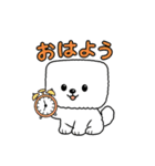 秋の四角いビションフリーゼ（個別スタンプ：26）