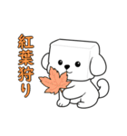秋の四角いビションフリーゼ（個別スタンプ：34）