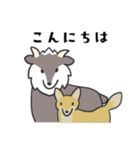 日常会話 カモシカさん（個別スタンプ：6）