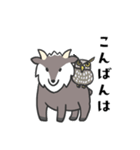 日常会話 カモシカさん（個別スタンプ：7）