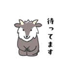 日常会話 カモシカさん（個別スタンプ：25）