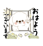 白垂れ耳わんこ「いつもよく使う言葉」1（個別スタンプ：1）