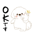 白垂れ耳わんこ「いつもよく使う言葉」1（個別スタンプ：3）