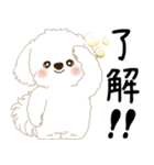 白垂れ耳わんこ「いつもよく使う言葉」1（個別スタンプ：4）
