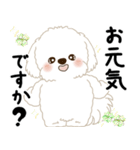 白垂れ耳わんこ「いつもよく使う言葉」1（個別スタンプ：5）