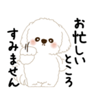 白垂れ耳わんこ「いつもよく使う言葉」1（個別スタンプ：6）
