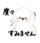 白垂れ耳わんこ「いつもよく使う言葉」1（個別スタンプ：10）