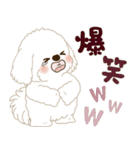 白垂れ耳わんこ「いつもよく使う言葉」1（個別スタンプ：19）