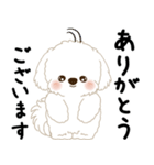 白垂れ耳わんこ「いつもよく使う言葉」1（個別スタンプ：21）