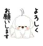 白垂れ耳わんこ「いつもよく使う言葉」1（個別スタンプ：29）