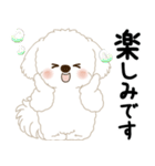 白垂れ耳わんこ「いつもよく使う言葉」1（個別スタンプ：33）