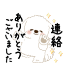 白垂れ耳わんこ「いつもよく使う言葉」1（個別スタンプ：36）