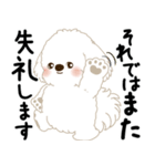 白垂れ耳わんこ「いつもよく使う言葉」1（個別スタンプ：39）