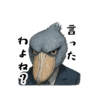 走り抜け！鋭い眼光の政治家ハシビロコウ（個別スタンプ：33）