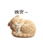 【繁體字】 スコティッシュ スタンプ 1（個別スタンプ：11）