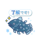 ゆるっと毎日水族館13（個別スタンプ：7）