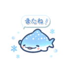 ゆるっと毎日水族館13（個別スタンプ：31）