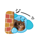ポメラニアンのカイ君2（個別スタンプ：8）