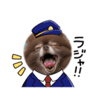 ポメラニアンのカイ君2（個別スタンプ：19）