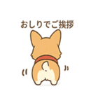 赤いスカーフのコーギー（個別スタンプ：1）