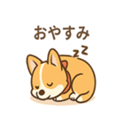 赤いスカーフのコーギー（個別スタンプ：6）