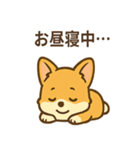 赤いスカーフのコーギー（個別スタンプ：16）