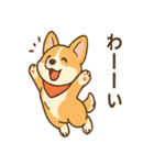 赤いスカーフのコーギー（個別スタンプ：24）