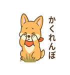 赤いスカーフのコーギー（個別スタンプ：25）