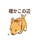 赤いスカーフのコーギー（個別スタンプ：27）