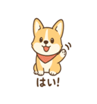赤いスカーフのコーギー（個別スタンプ：35）
